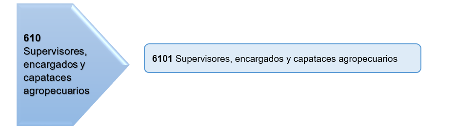 Service Name